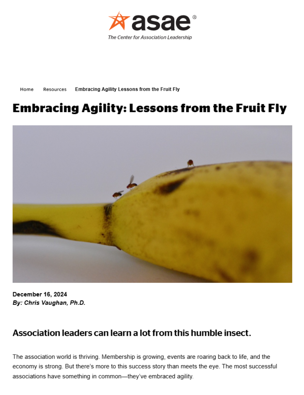 Embracing Agility Lessons From The Fruitfly